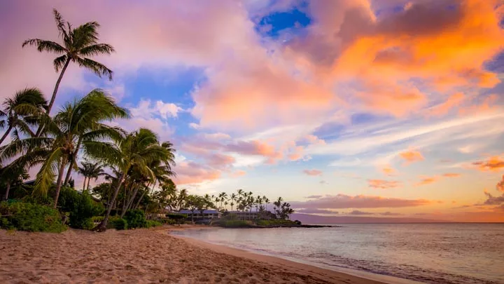 Cognitive Behavioral Therapy Hawaii found at the Exclusive Hawaii Rehab, a bespoke luxury rehab that incorporates CBT among a full array of holistic methods for recovery