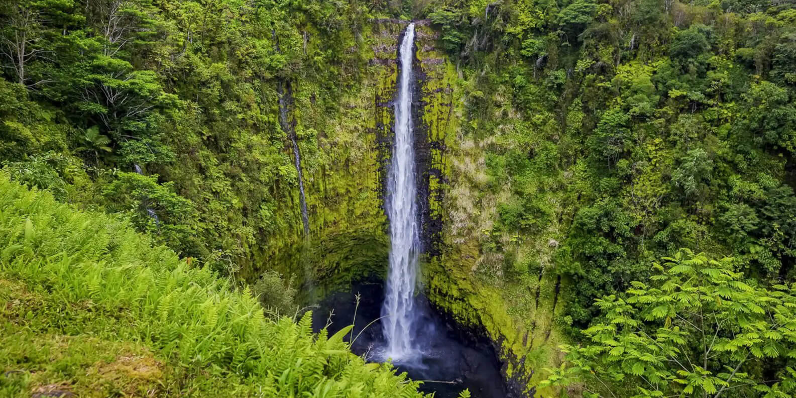 Experience the exclusive Hawaii as a tall waterfall cascades into a circular pool surrounded by lush, green vegetation and dense forest.