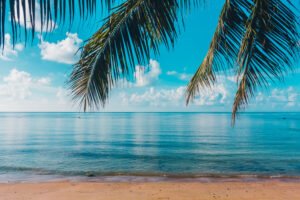 does insurance cover rehab for drugs