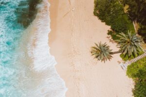 Surf Therapy Beach Used at a Drug Rehab Honolulu