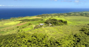 Aerial view of a green, rural landscape featuring a house and outbuildings surrounded by vegetation, with the ocean visible in the background under a clear blue sky.