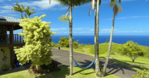 A hammock hangs between two palm trees overlooking the ocean, with a house and lush greenery in the background.