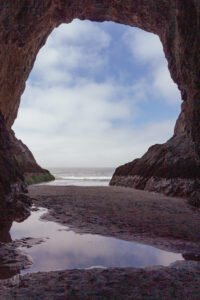 holistic alcohol recovery