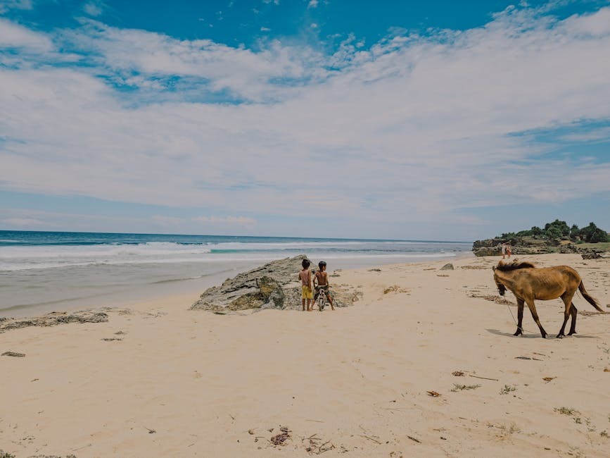 How Can Animal-Assisted Therapy Help With Addiction Recovery?