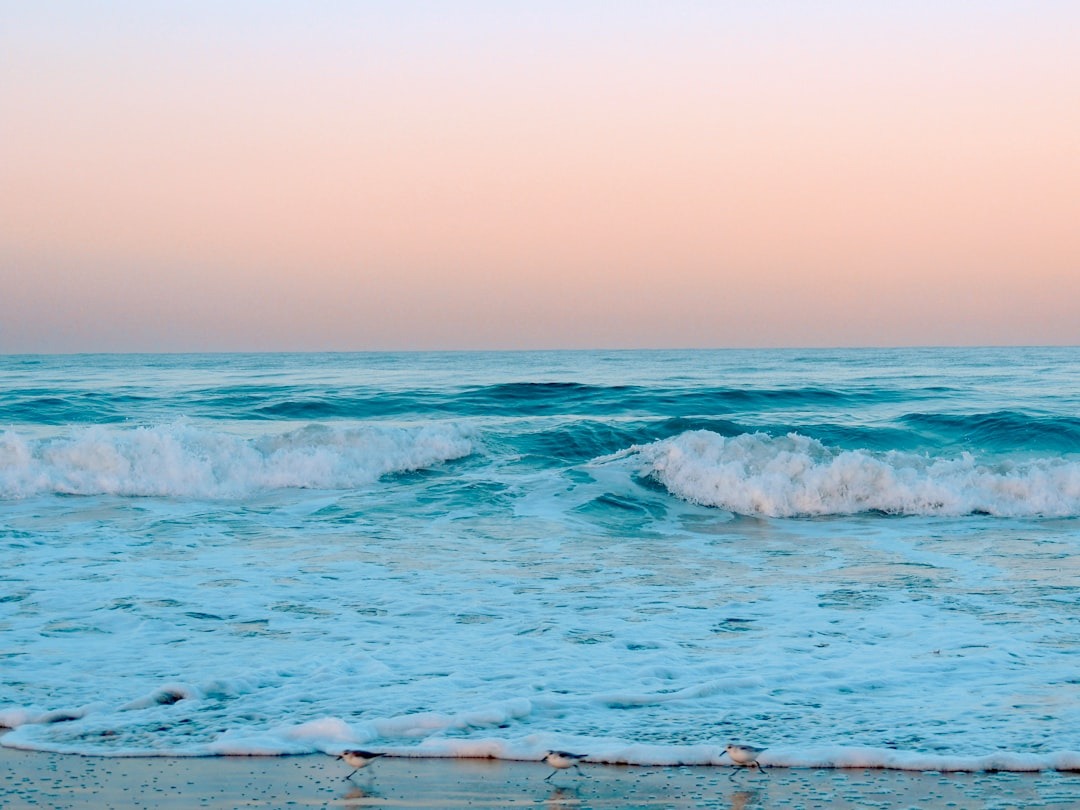 Understanding Addiction and Anxiety