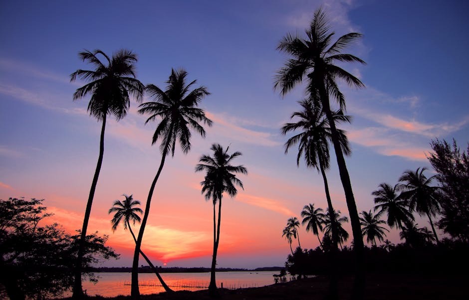Silhouettes of tall palm trees stand against a colorful sunset sky with shades of pink, purple, and blue near a calm body of water.