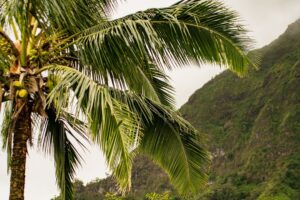 TMS Therapy in Hawaii: Top Benefits of Transcranial Magnetic Stimulation