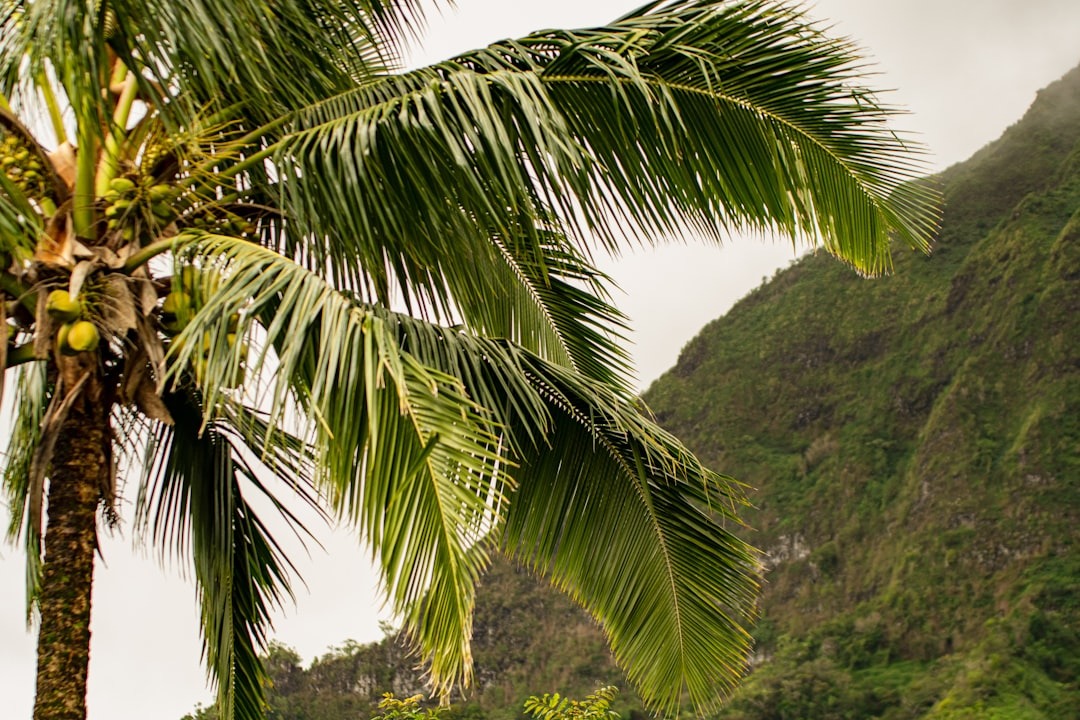 TMS Therapy in Hawaii: Top Benefits of Transcranial Magnetic Stimulation
