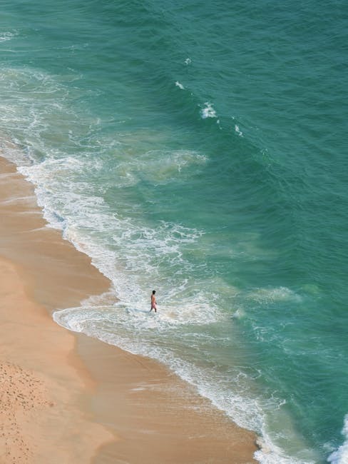 How Does Your Brain Respond to Stress?