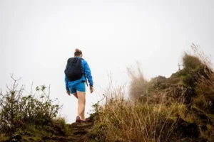 Is Marijuana Addictive? Signs and Treatment for Marijuana Addiction